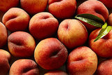 Stone Fruits Recalled At Trader Joe's, Kroger, Sam's Club, Walmart, and More Stone Fruits Recalled At Trader Joe's, Kroger, Sam's Club, Walmart, and More