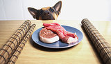 Raw Diets and Hyperthyroidism in Dogs Raw Diets and Hyperthyroidism in Dogs