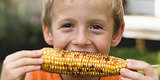 5 Myths About Corn You Should Stop Believing 5 Myths About Corn You Should Stop Believing