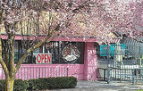 Voodoo Doughnut Fires Employee For Smashing Doughnuts on Customer's Car Voodoo Doughnut Fires Employee For Smashing Doughnuts on Customer's Car