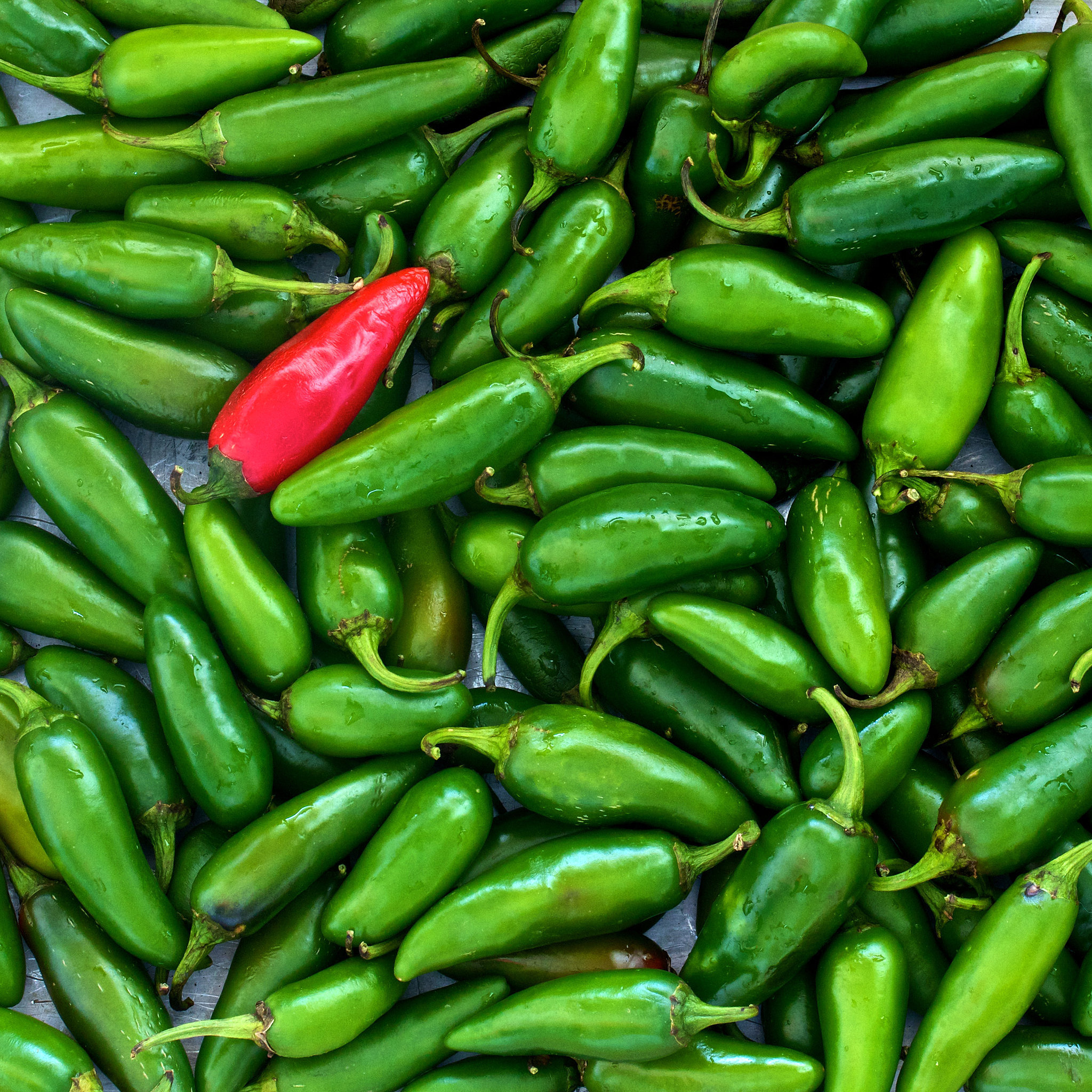 How to Tell How Spicy a Jalepeño Is POPSUGAR Food