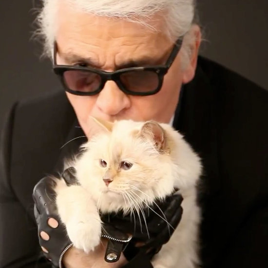 Karl Lagerfeld's Cat Choupette's Makeup Line | Video