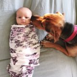 Adorable Pictures of Babies and Dogs