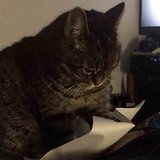 Paper Doesn't Need Tell When