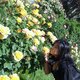 sorano916's picture