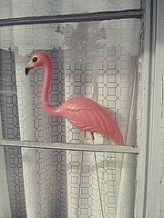 My Phoneography