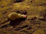 Playing in the Sandbox.