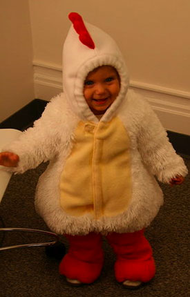 Sugarbabies: Cluck! Cluck! It's Chicken Katie! Sugarbabies: Cluck! Cluck! It's Chicken Katie!