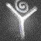 visYoga