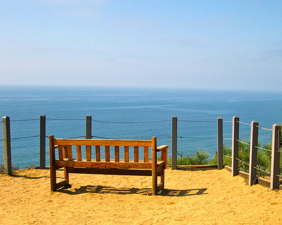 Bench at Torrey Pines