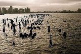 Winter in New York