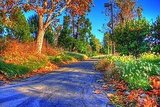 Love Fall
