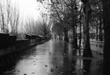Rainy Paris