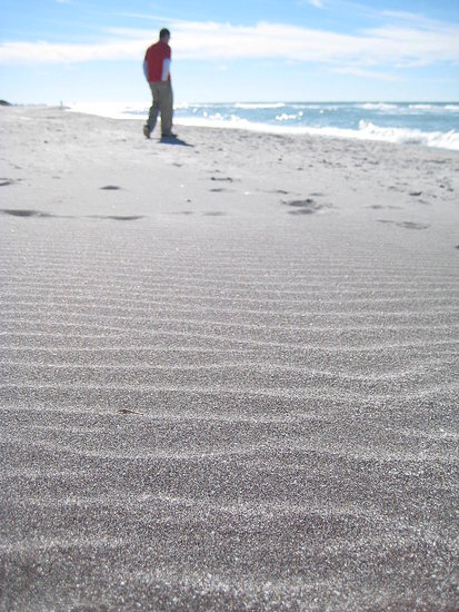Sandy