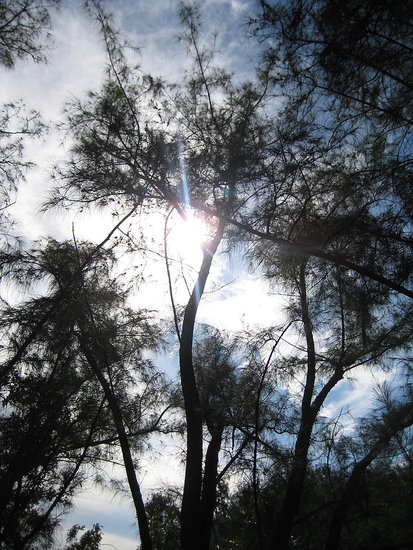Nature walk
