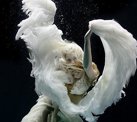 Beauty Pic of the Day
