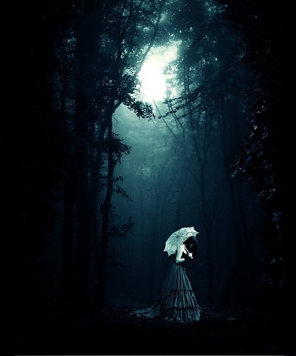 Deep In the Forest........