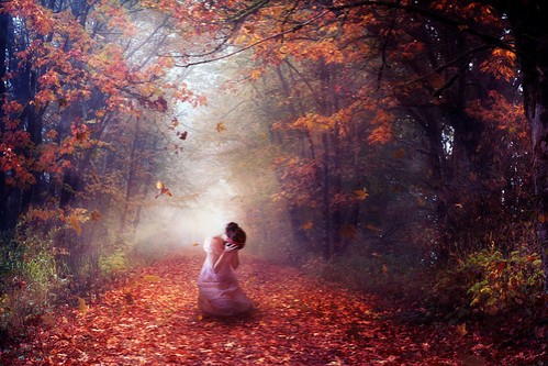 Autumn's Despair