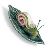 Snail Sandwich Snack Snail Sandwich Snack