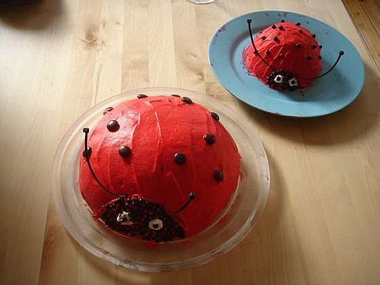 Ladybug cake