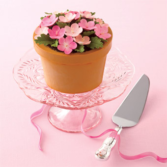 Flower pot cake
