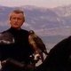 Ladyhawke57