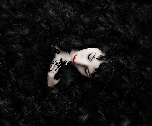 Feather Affair