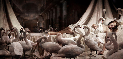 Sleeping Swan Princess