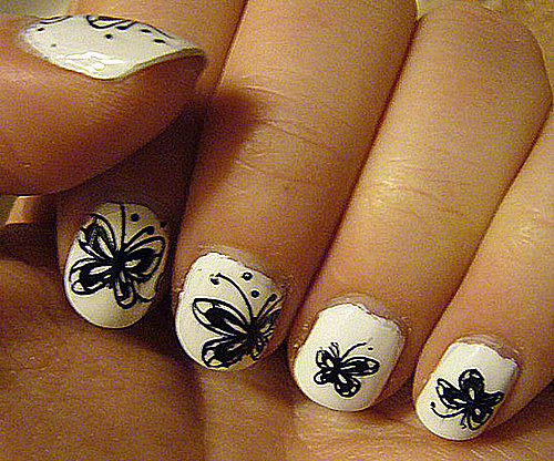 Monochrome Butterfly Monochrome Butterfly