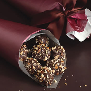Pretzel Turtles