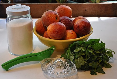 Minty Blood Orange Sorbet Minty Blood Orange Sorbet