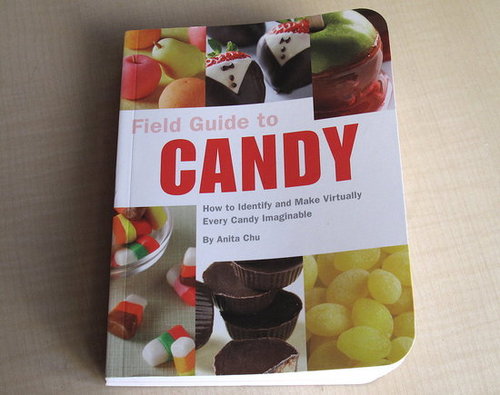 Cookbook Review: Field Guide to Candy by Anita Chu