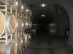 Have You Ever Taken a Tour of a Winery?