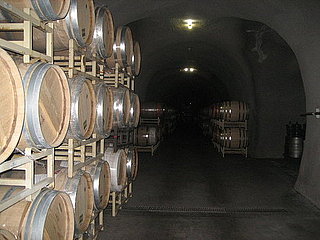 Have You Ever Taken a Tour of a Winery?