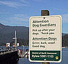 5 Funny Dog Signs: In the LINK of an Eye!