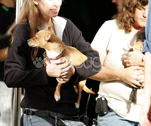 Behind-the-Scenes of Beverly Hills Chihuahua 2 Behind-the-Scenes of Beverly Hills Chihuahua 2