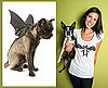 Howl-o-ween Twinsies: Get Batty Together!