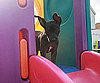 Pet Pic of the Day: Ms. Minnie at the Playground