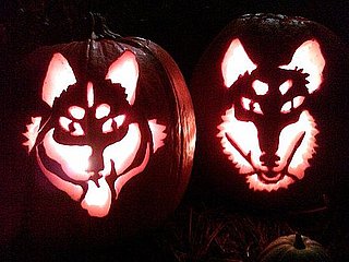 Crafty Community Member Turns Her Dogs Into Pumpkins!