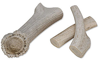 Antlerz Dog Chew: Spoiled Sweet or Spoiled Rotten?