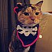 Buccaneer Bib
