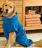 Dog Drying Robe: Spoiled Sweet or Spoiled Rotten?