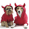 Howl-o-ween Hoodies For Year-Round Dress Up Fun 