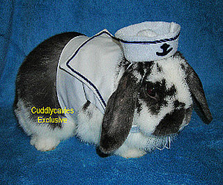 Lucky Rabbit, Next Year the Costume Fairy Comes For You