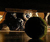 Pet Pic of the Day: Devotchka Has Her Eyes on the Prize