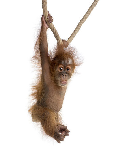 Hang in There Hang in There
