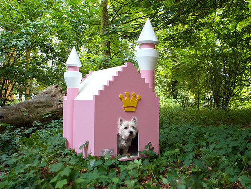 The Whimsical (Fairytale) The Whimsical (Fairytale)