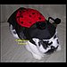 Ladybug Love