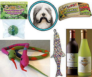 Pet's November Must Haves