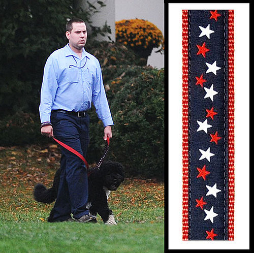Found! Bo Obama's Starry Leash